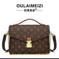 Medium size Brown Leather print and Flap Front